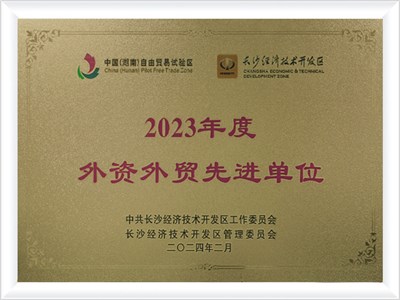 外资外贸先进单位